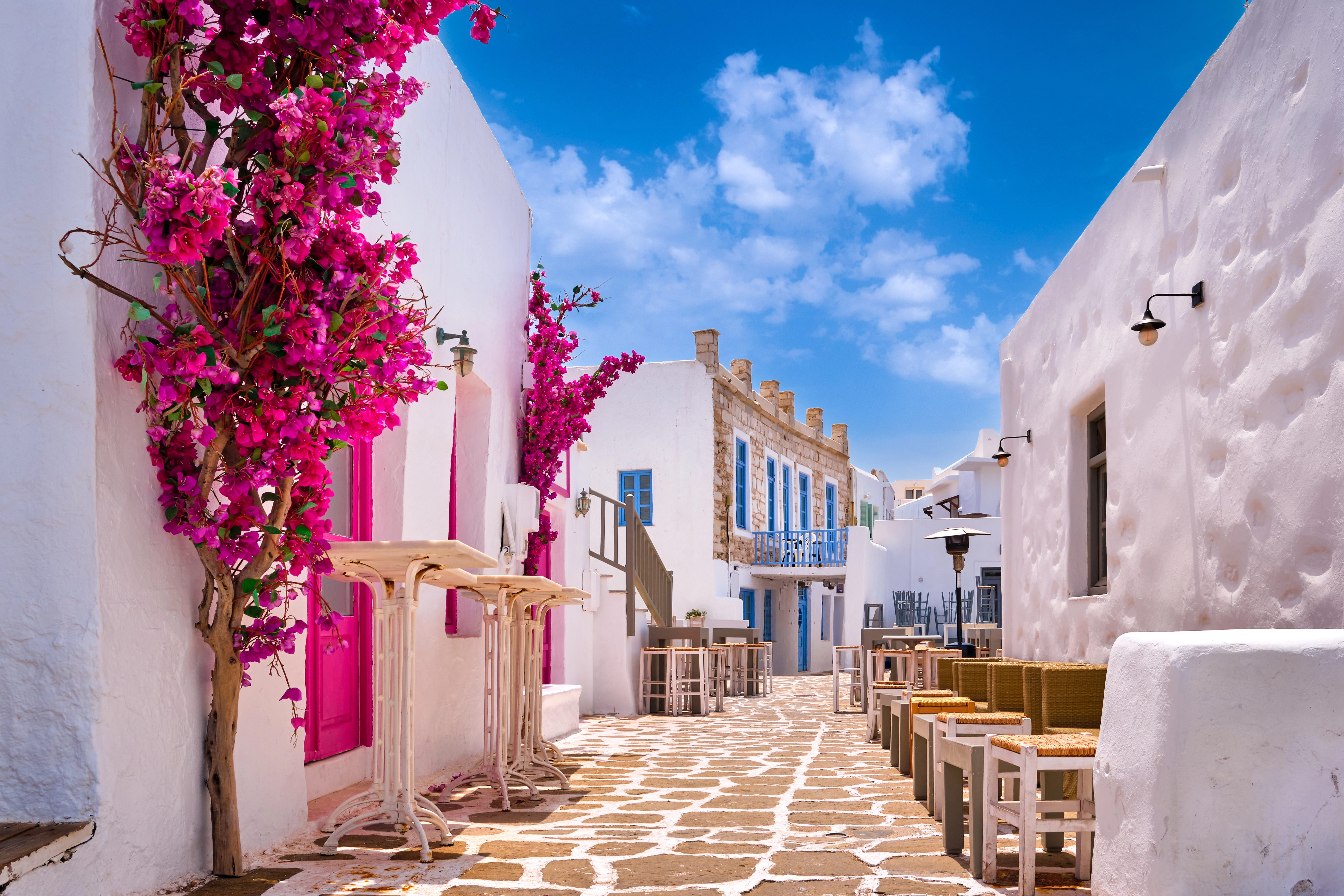 Ruelle fleurie de bougainvillées sur une île grecque